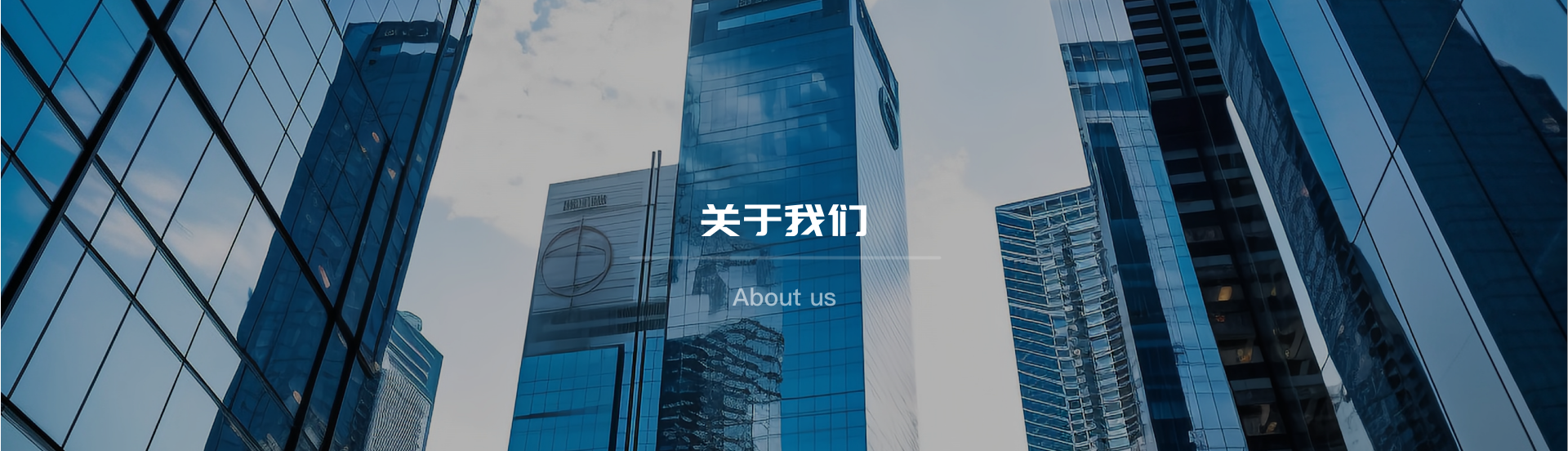 广东特菱工程有限公司